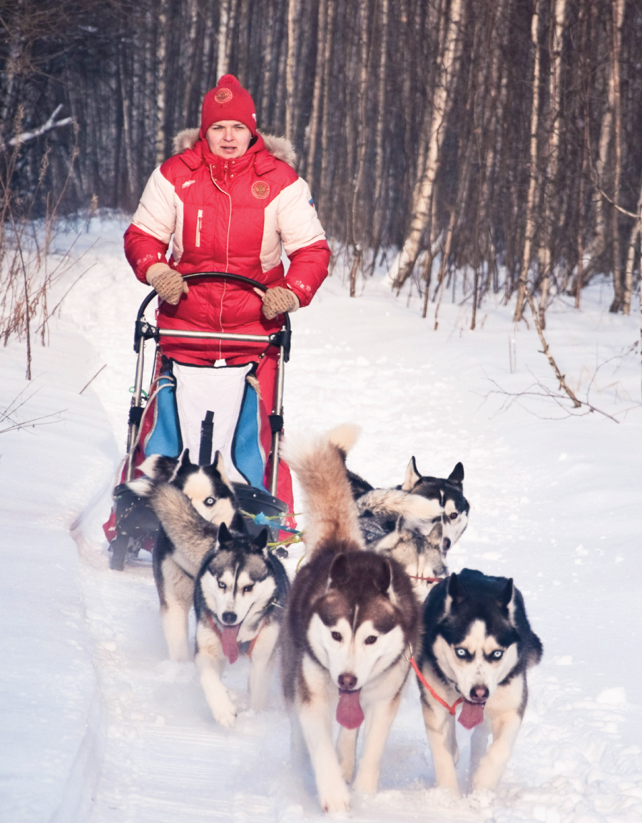 Respect and Tranquility in Japan