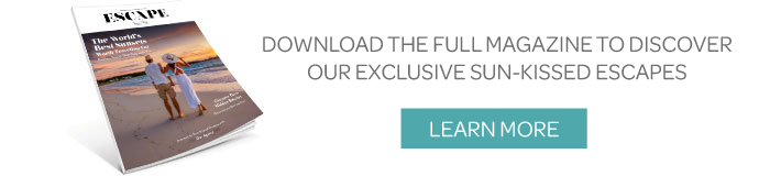 download full book